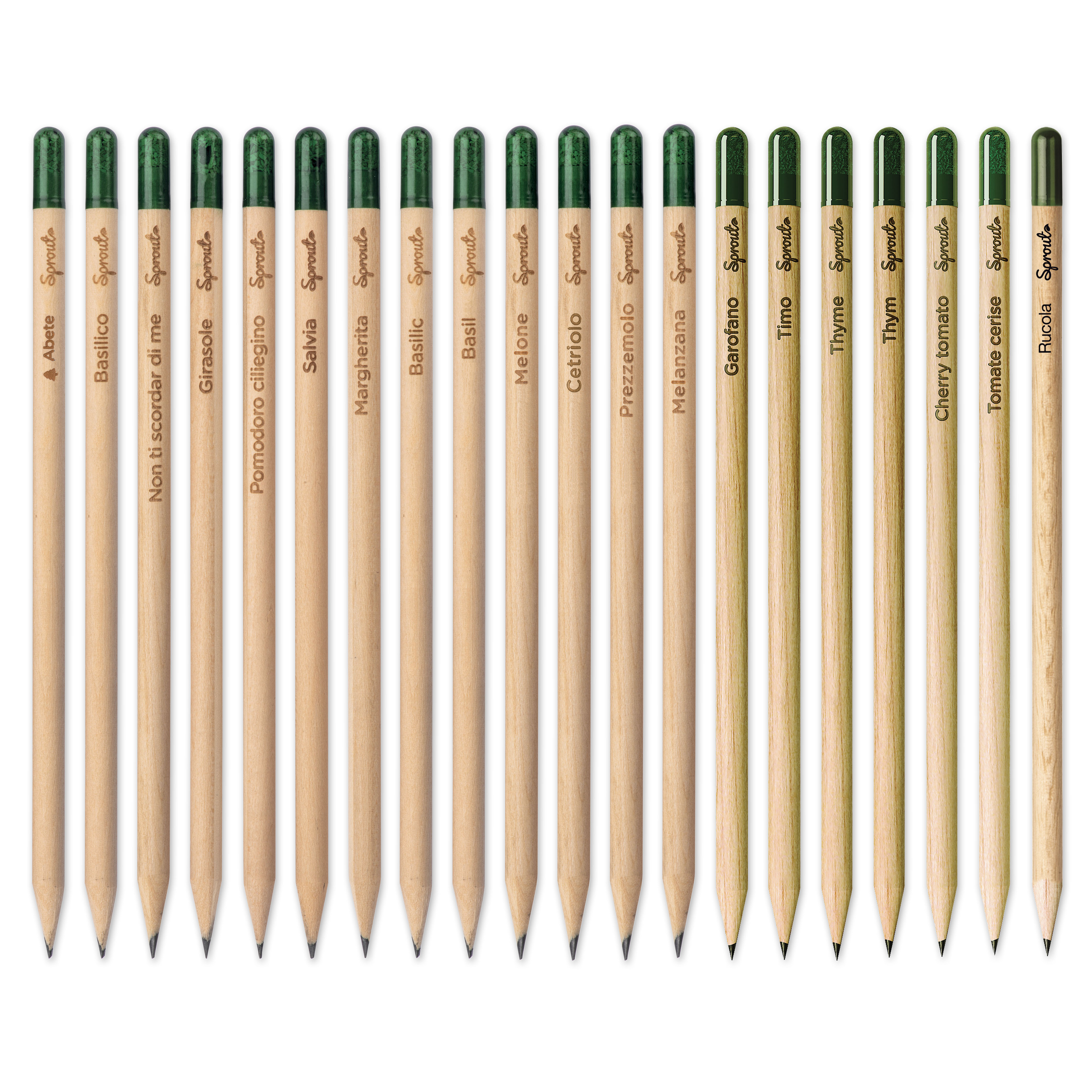 Matite Sprout, le matite piantabili personalizzate per gadget aziendali e  bomboniere green