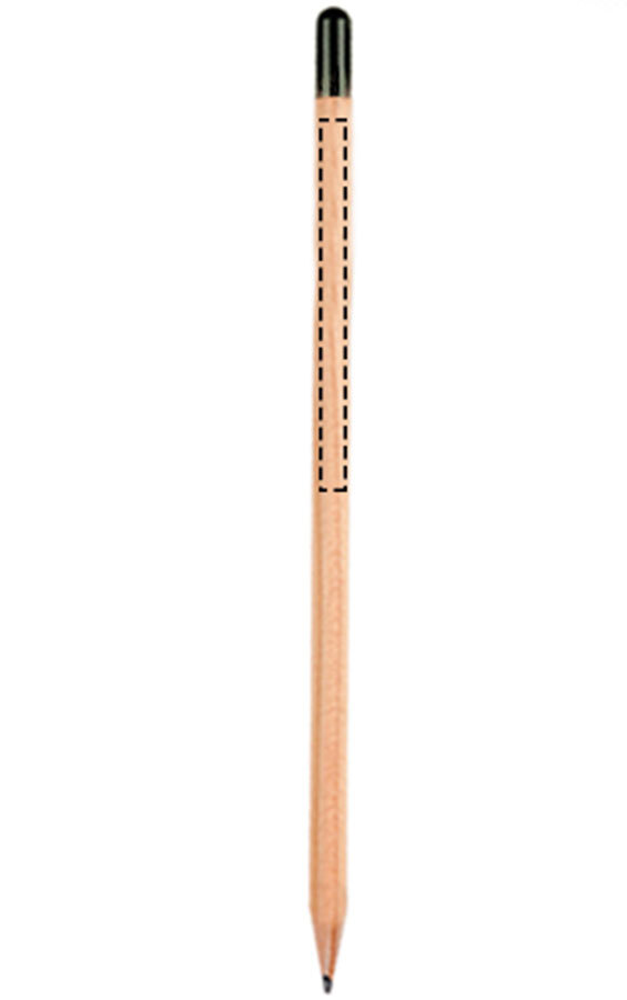 8 × The Original Sprout Pencil Matite Plantable Matite di Germoglio Matite Scrivere Imparare Art Pre School Fai da Te Desktop Matita Matita Coltiva Matita Legno Naturale Sostenibile 