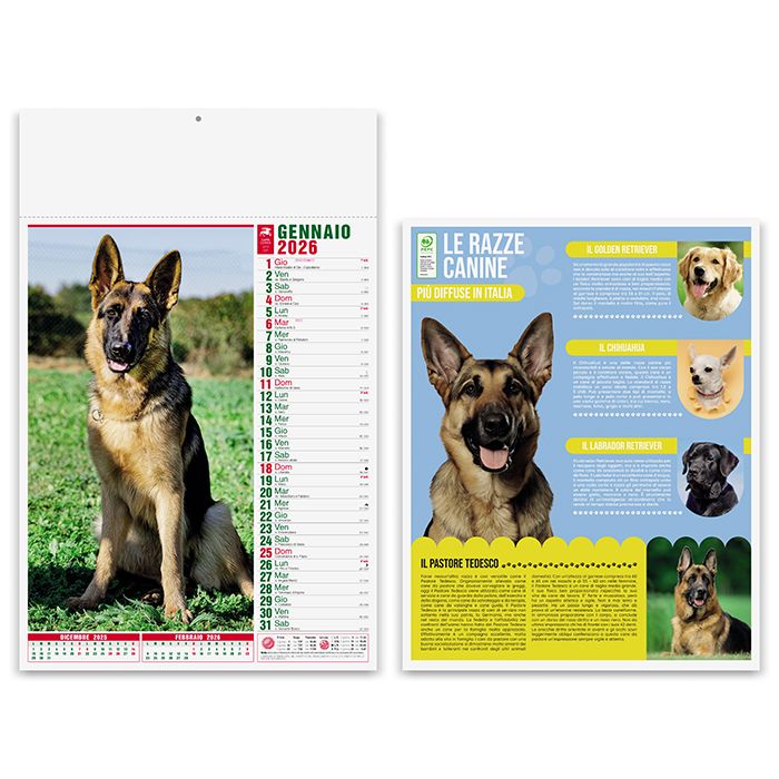 Calendario olandese illustrato Cani e gatti – PA108