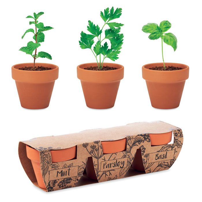 FLOWERPOT. Set di erbe in terracotta - MO6145