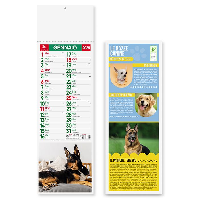 Calendario olandese illustrato Cani e gatti - PA191