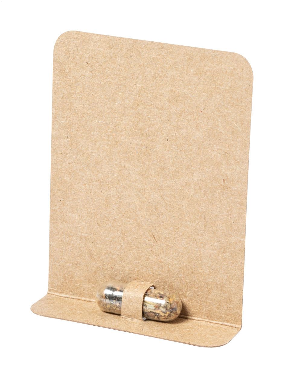 Flocca. capsula con semi di fiori - AP722147