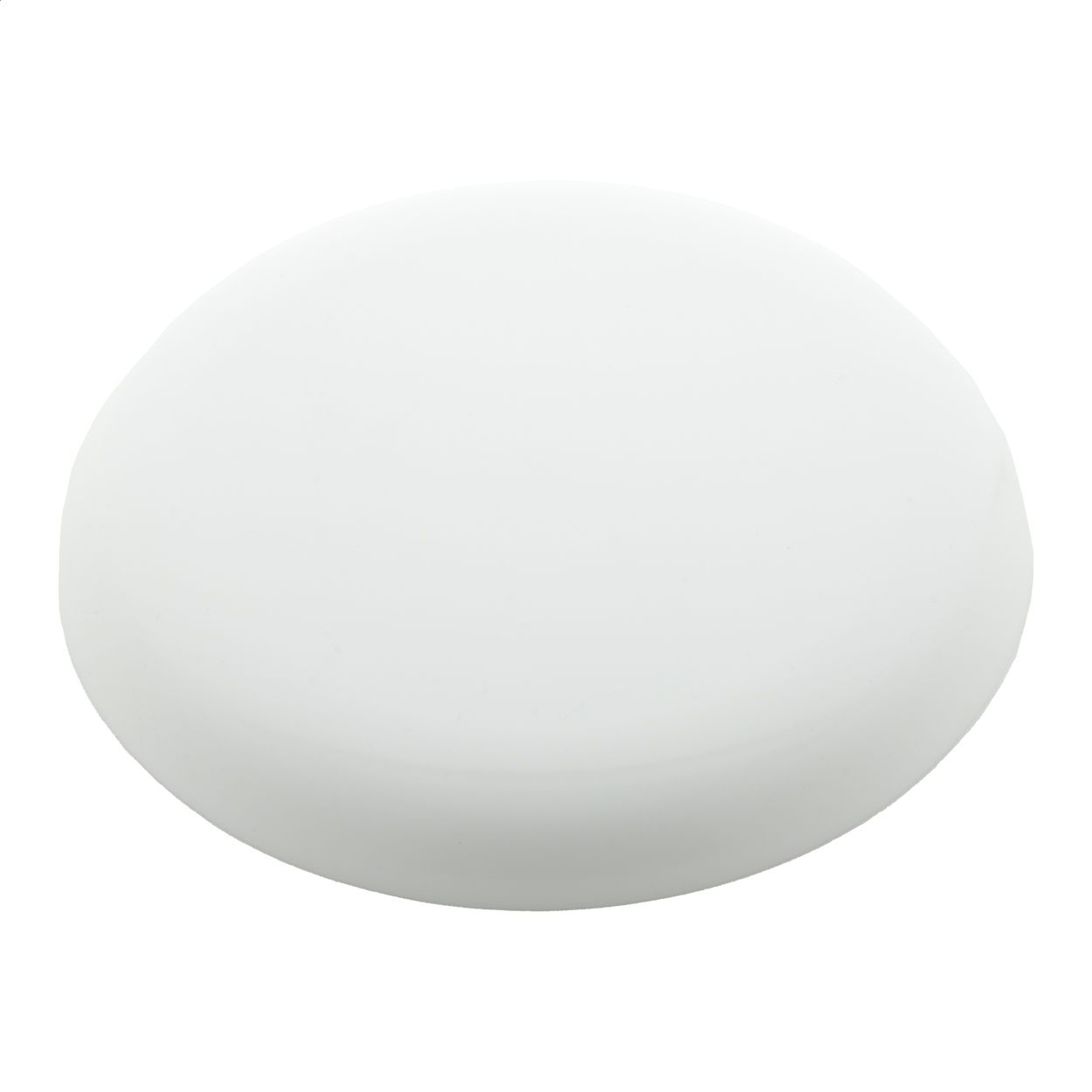 Reppy. frisbee - AP809526