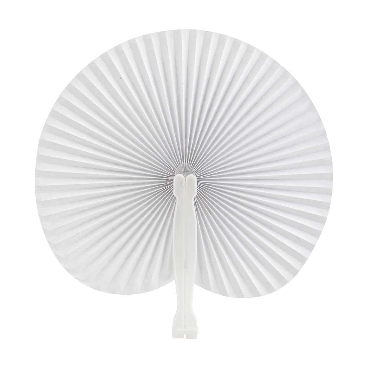 Vasto. ventaglio - AP731531